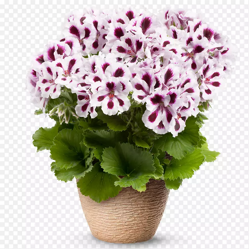 ���ÿ������ÿ����ӿ���-��ɫ����-������