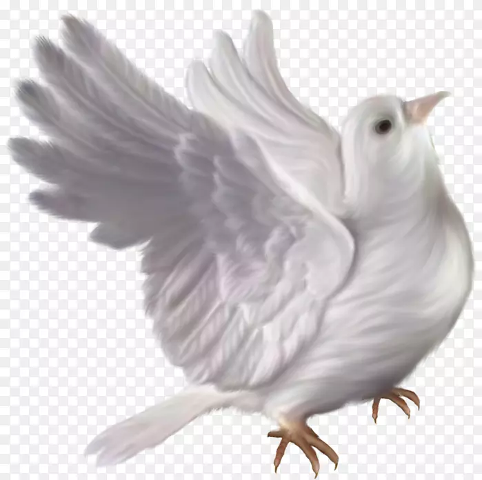 ��������Ƭԭ��/������Ƭ��Ӱ�ؿ��ͱ�㿨-��-������