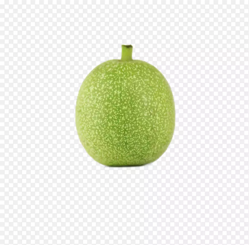 ��ɫ������-�������-������