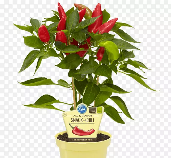 ��������������-������