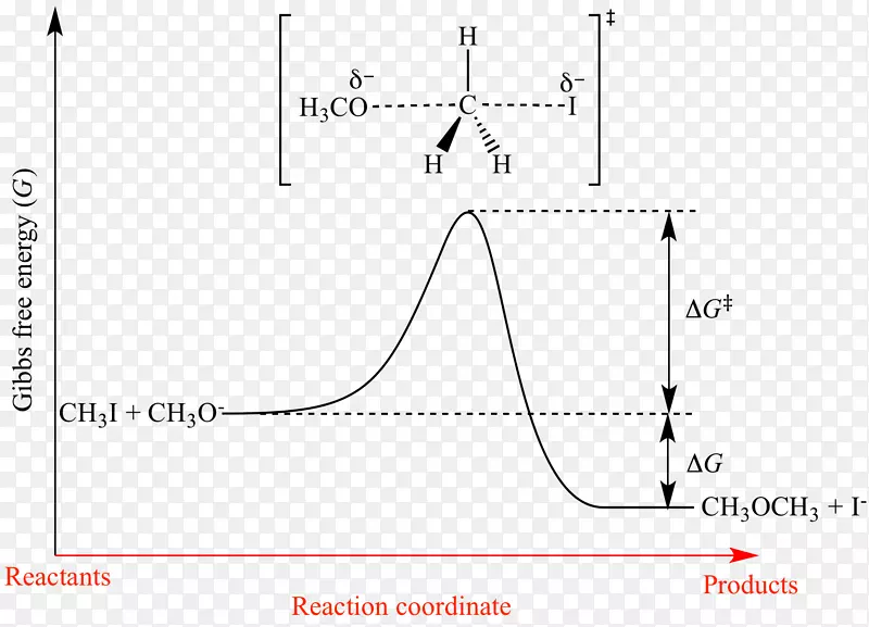 �����ĵ�-������-������