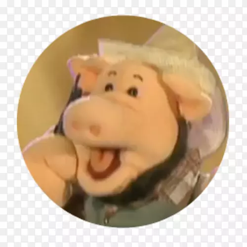 ����-��-������