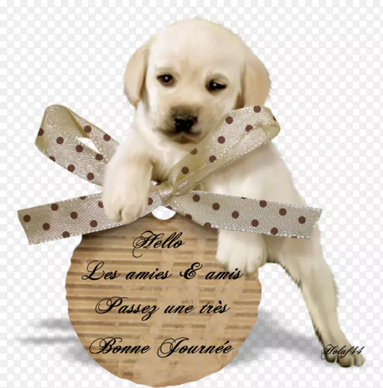 ����������Ȯ���Ȯ�������Ĳ���-С��-������