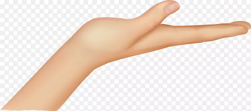 ��ָ������-��-������