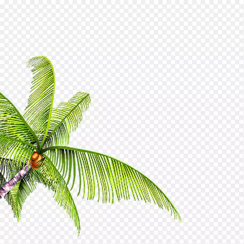 ��֦��������Դ-��-������