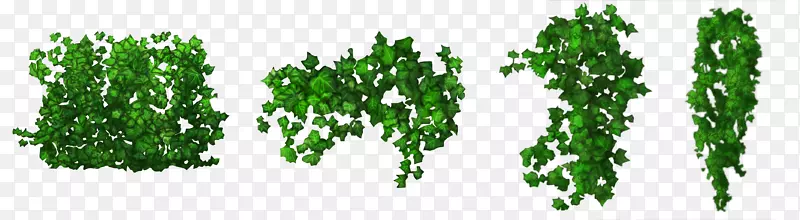 �̱�����Ʒֲ�ﾥ����ϵ-������