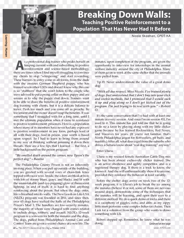 �����Ʊ��ϰ�����˹�ķ���-������