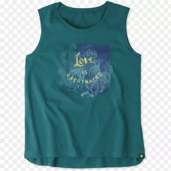 t����������ƽ�.t��-������