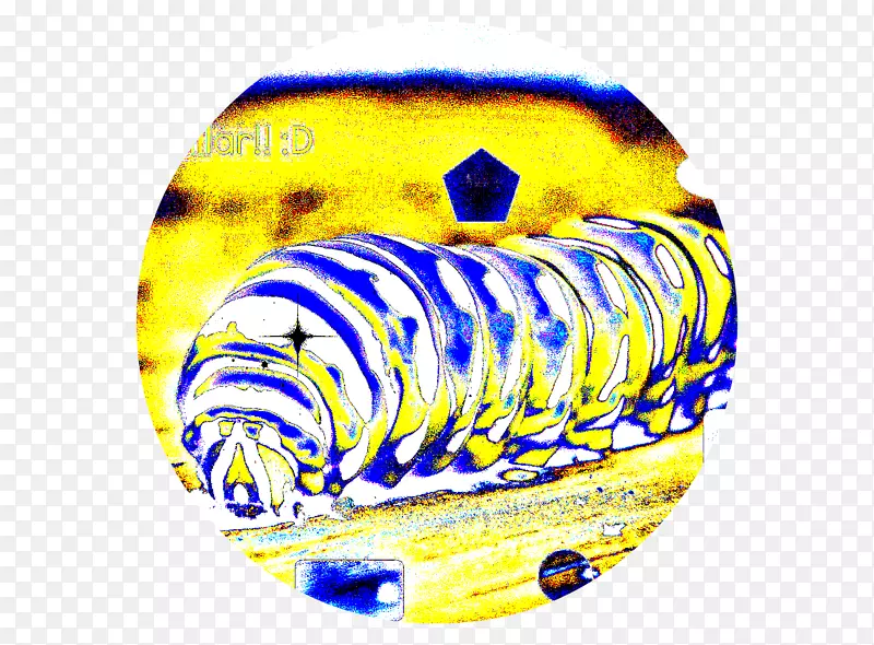 �޼�׵����������ʷ-������