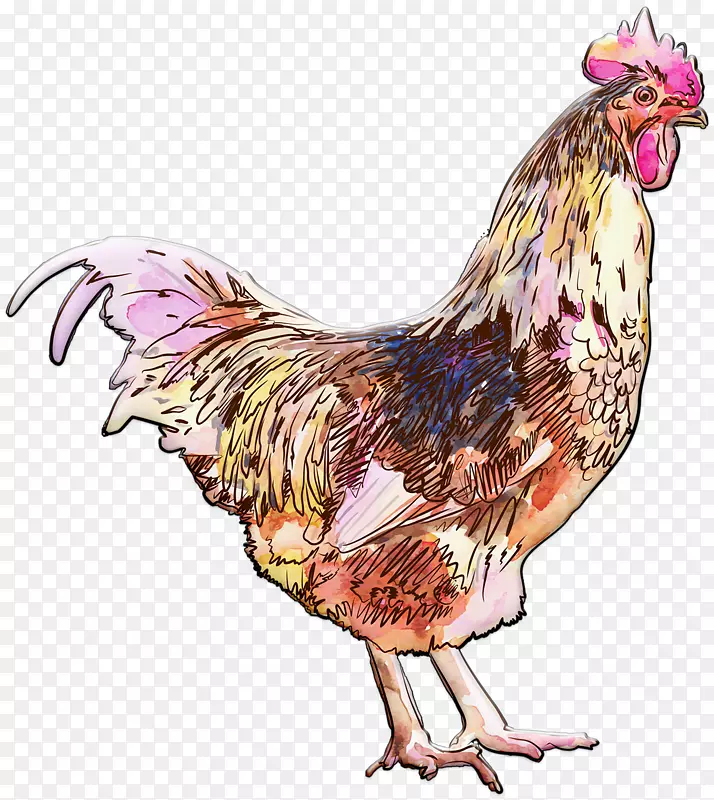 ��ˮ�ʻ�.��ˮ��-������