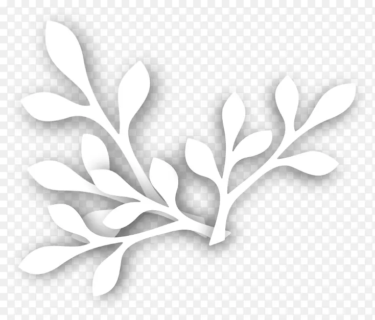 ��ɫ���-������