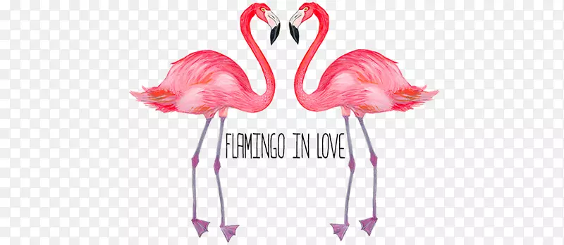 �����������ֽ��Ӱ-��������-������