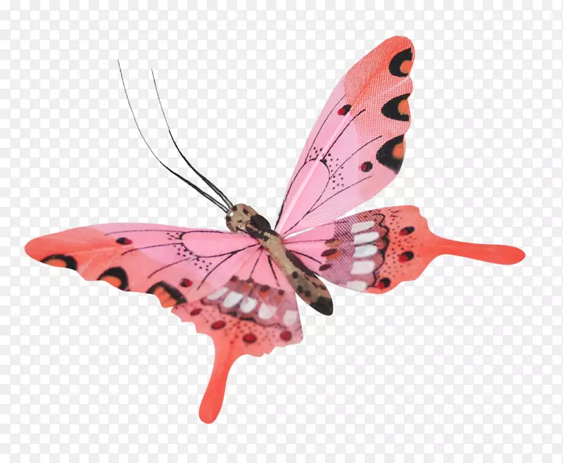 ��������-������