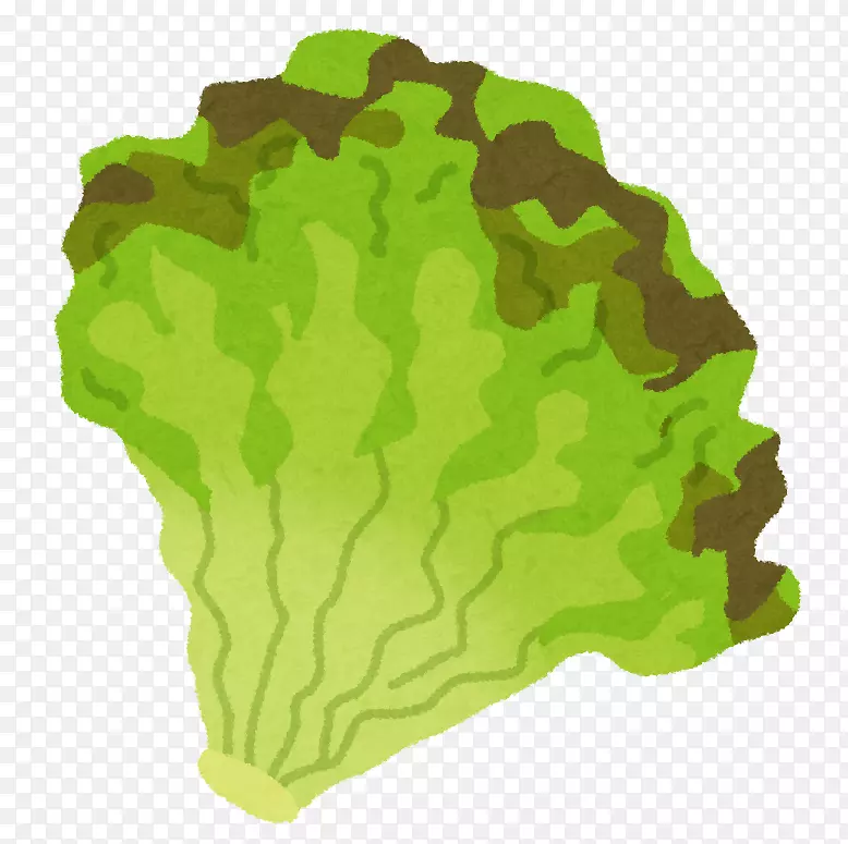 ��Ҷݫ��Ҷ�߲�-������