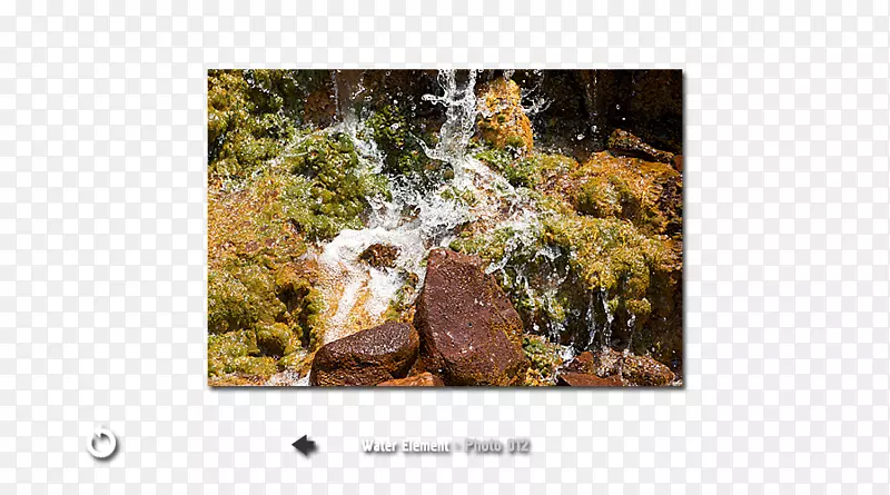 ˮ�ʻ�-������