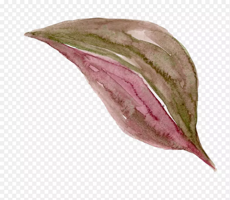 ˮ�ʻ����ؼ�������-ˮ���뿪�߿�-������