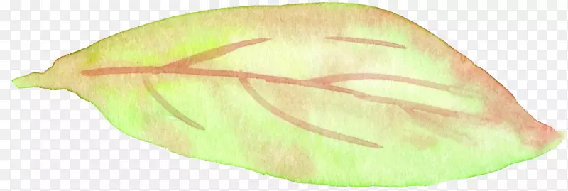 �߲��޼�׵�����Ҷ-�߲�-������