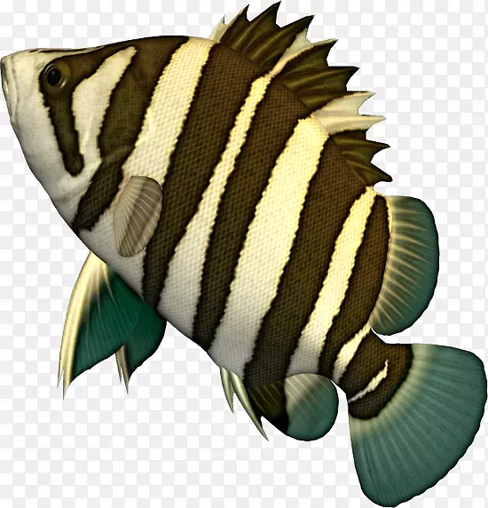 ���������ۼ���������-������