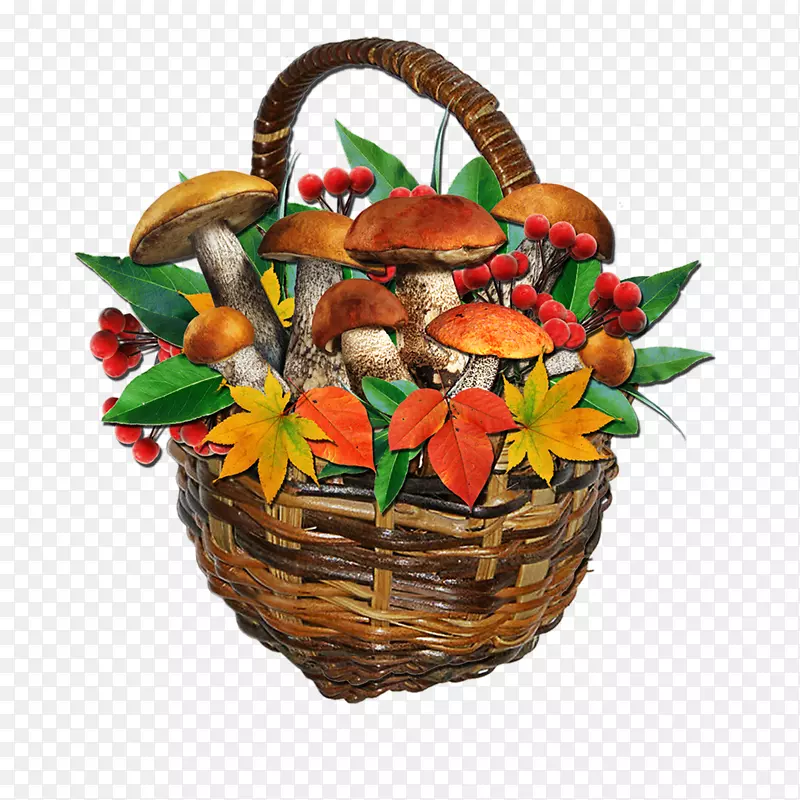 ��ʵװ��ƻ��-������