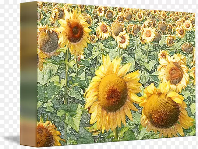 ���տ���-������