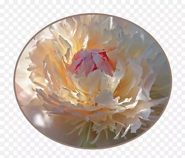 ĵ���;�-��-������