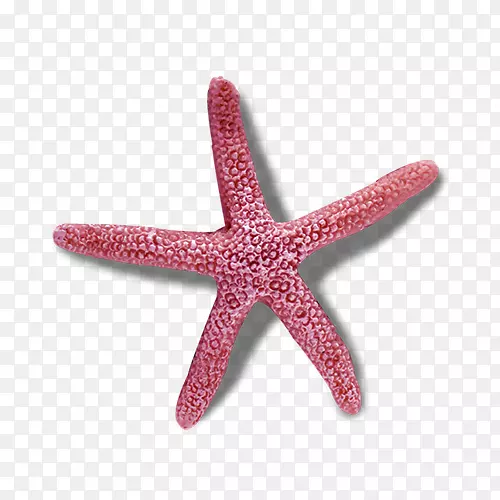 ��ת�Գƹ���������Գ�-�Ϻ���-������