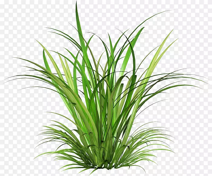 ������-������