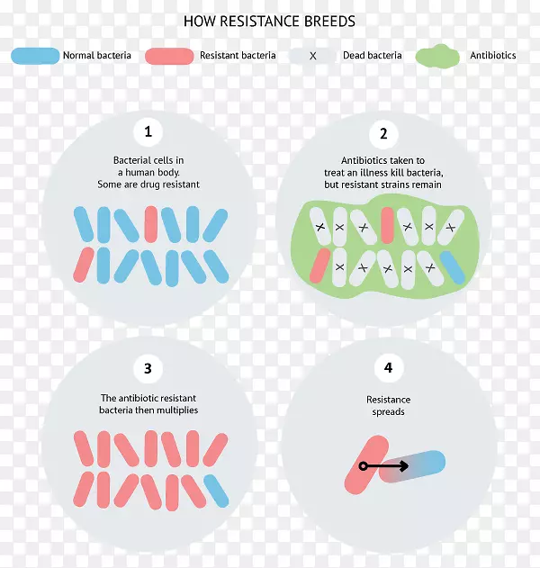 �̱��ʶ����.��ҩ��-������