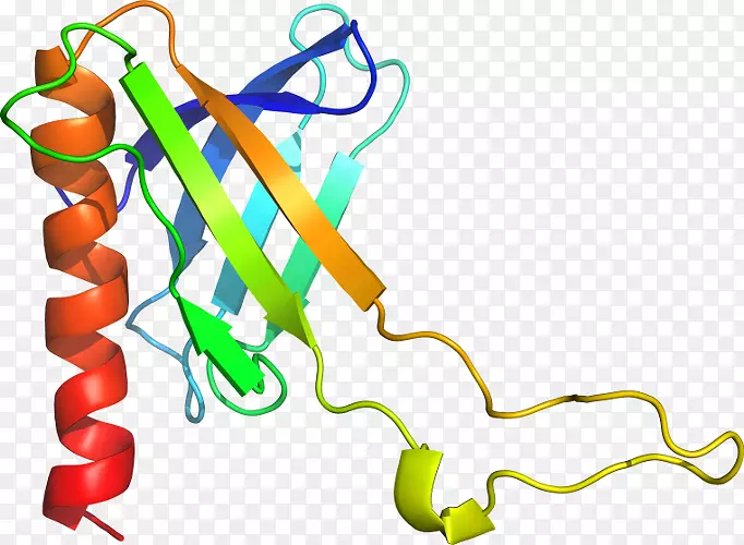 �ߵ������������-������