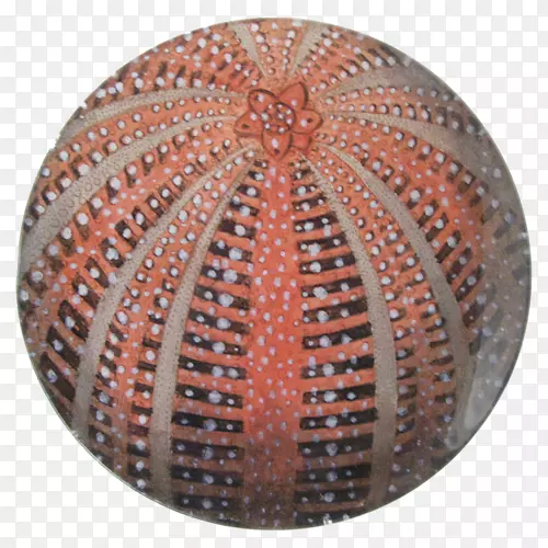 ��Բ��-������