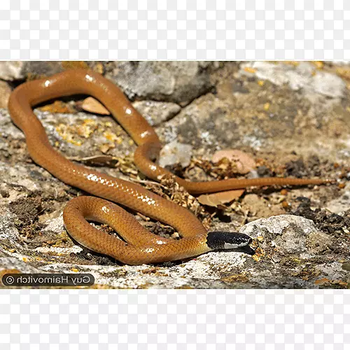 ����½������-����-������