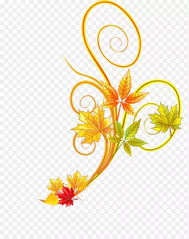 �������ֲ�ﻨ��ֲ��-������