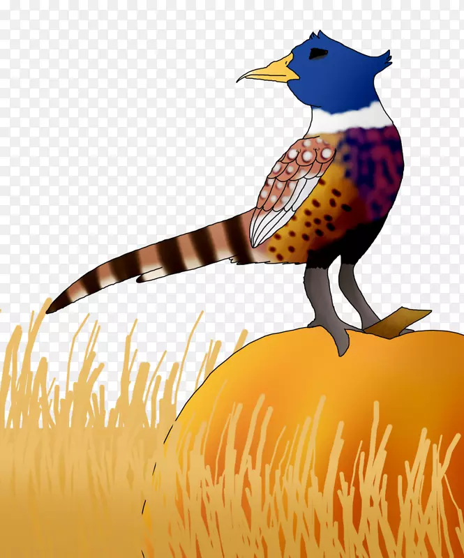 ���켦������.Ұ��-������