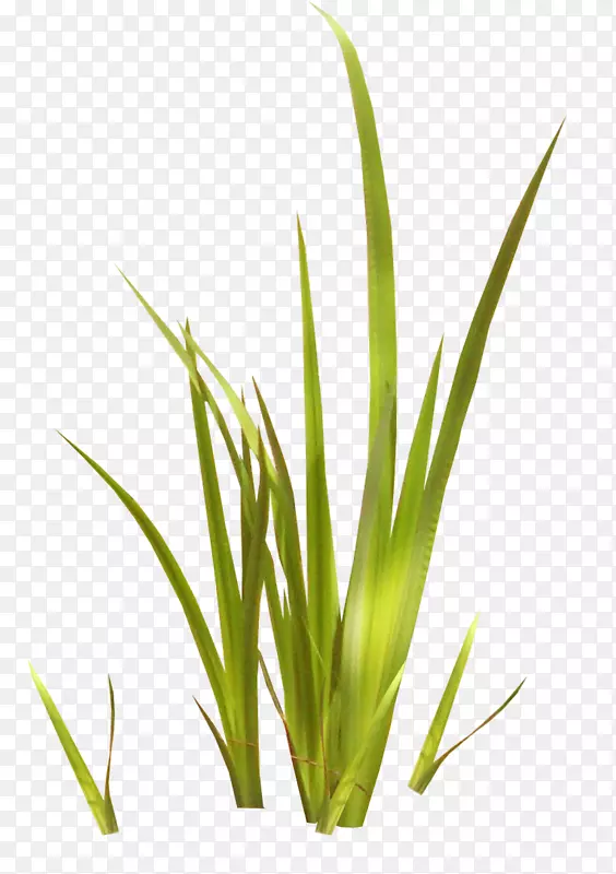 ��ѡ�����-����-������