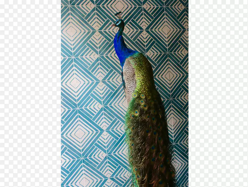 AdobeSequence Jbel Toubkal Popham������-������