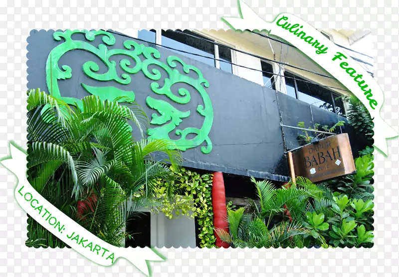 ��������ʥ�����������ʱ���������-����-������