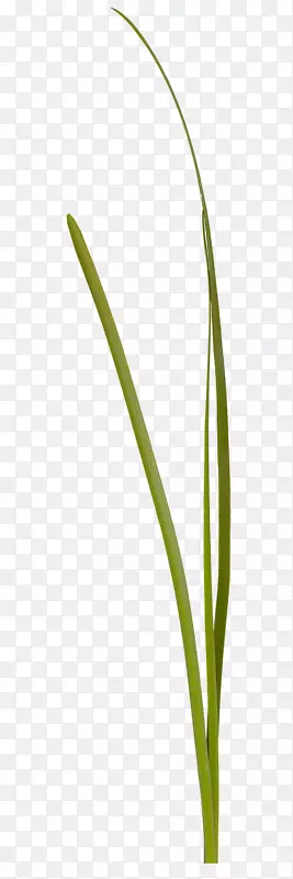 ֲ�ﾥ���-��Ȼ-������