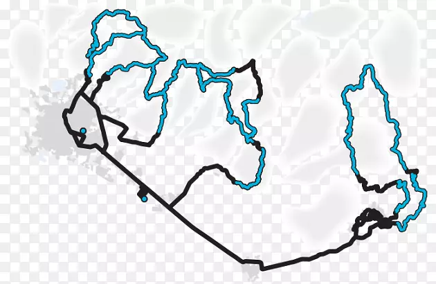 �ߵ������-��-������