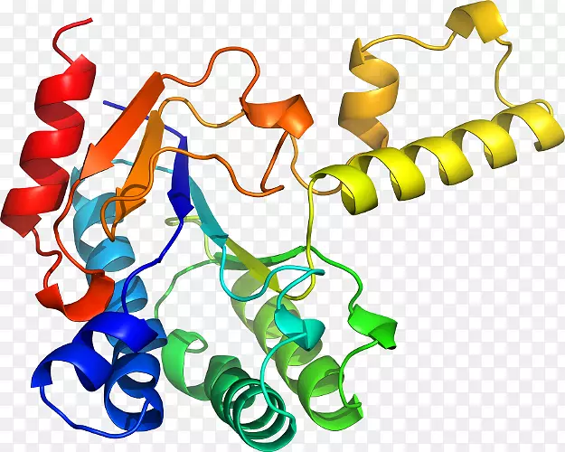 �ߵ������������-������