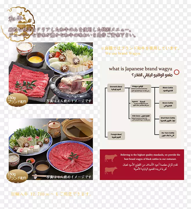 �����������ײ˲�-����-������