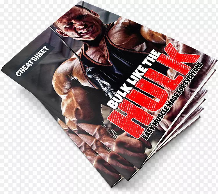 �������׹�������˾�����-������