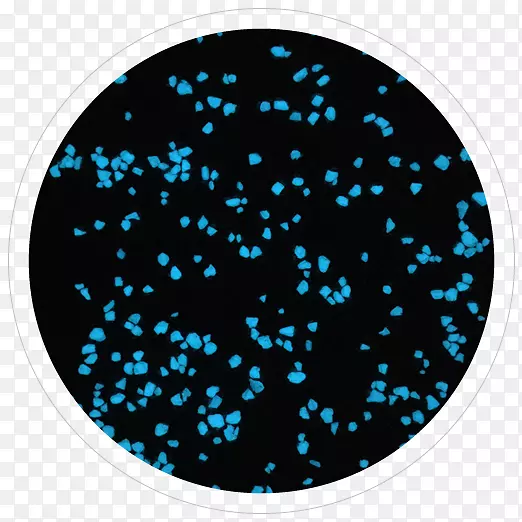 Բ������ʯ��Բ-������