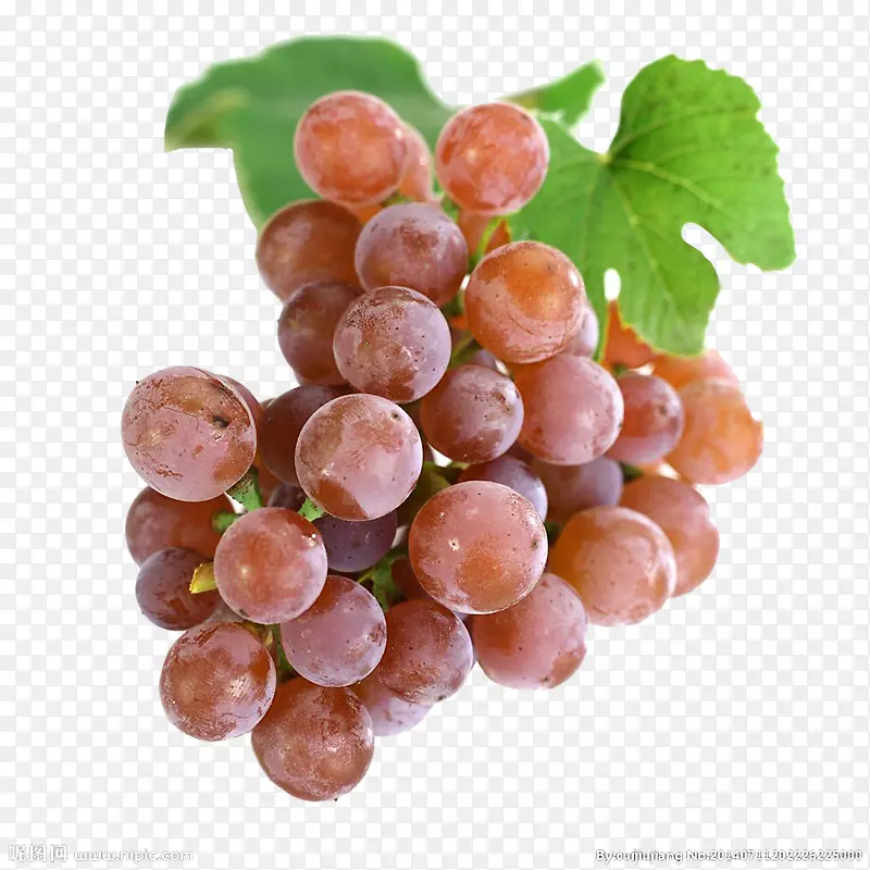 �޷�����԰�¸���˹����-�޷������޿�ͼ-������