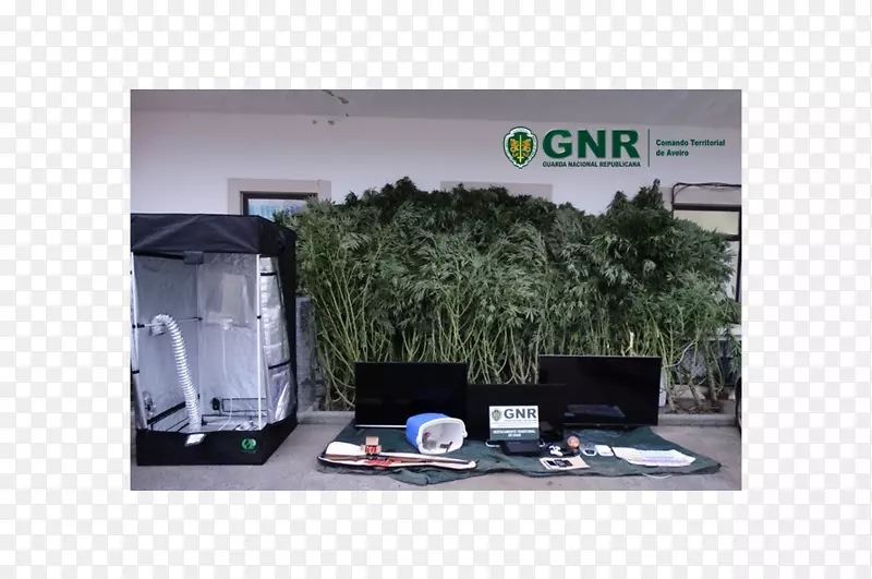 ���Զ�ý��Ʒ����ʾ�豸����-С��-������