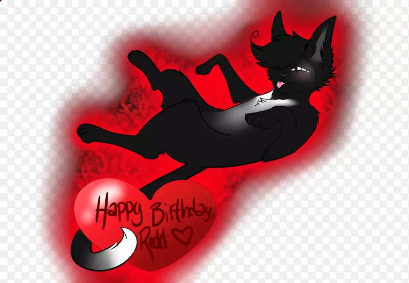 С����è�����ֽ��������è-������