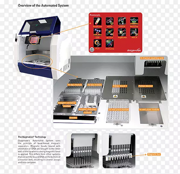 �칫��Ʒ����Ԫ�������-������