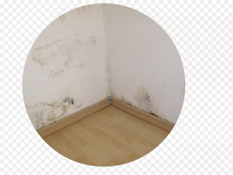 ľ����Բ��/m/083vt-ľ��-������