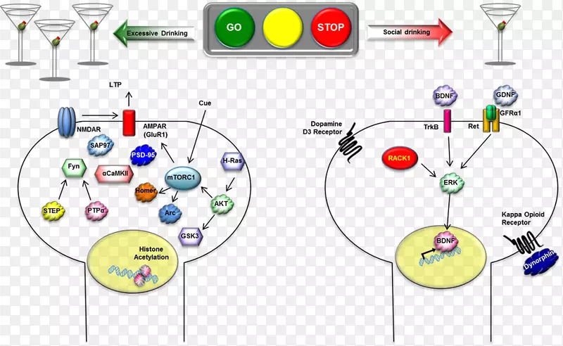 ��·��������-������