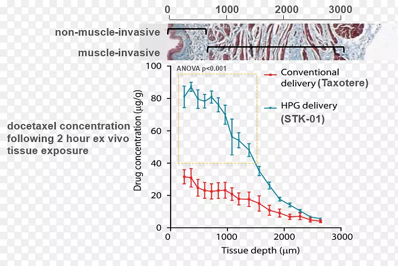 ������������Sitka����harma��˾��-���װ�-������