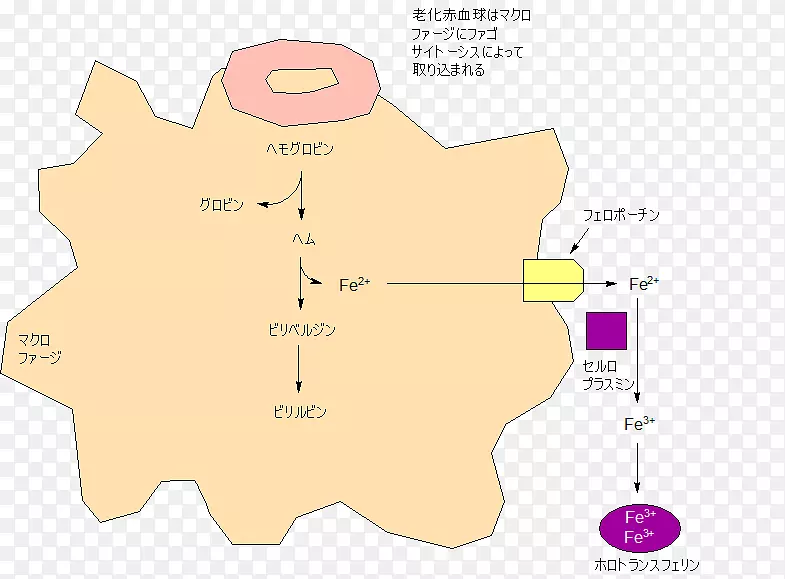 ֱ�߽Ƕ�����-������